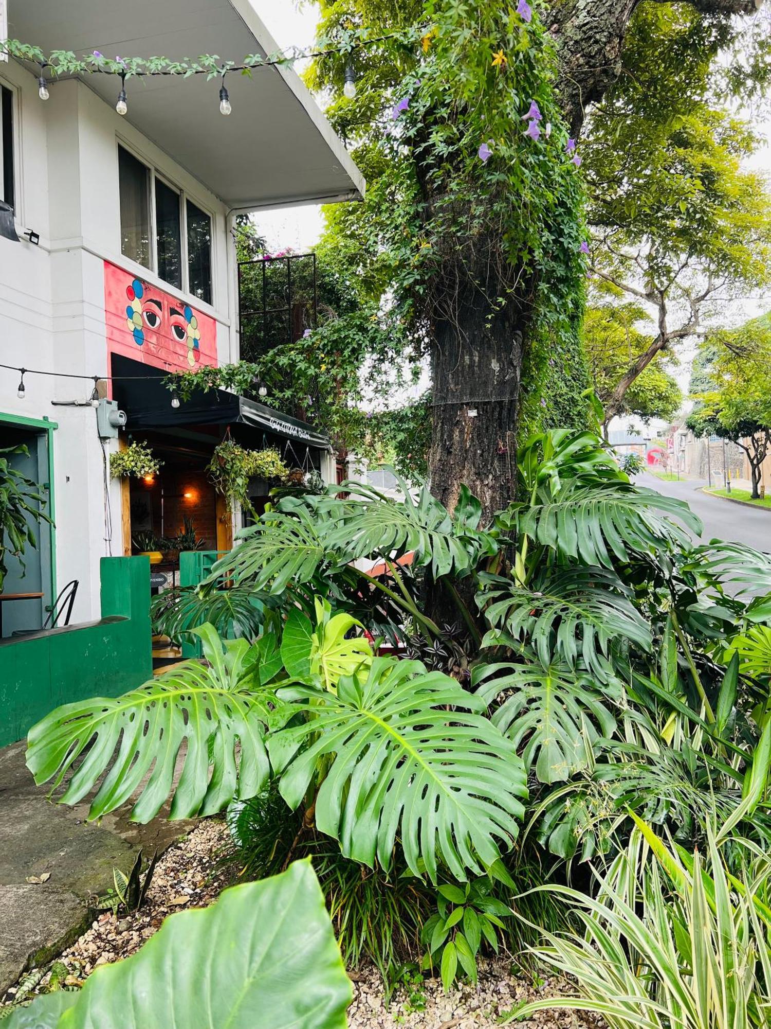 Otoya 1907 Hotel (Adults Only) 聖荷西 外观 照片